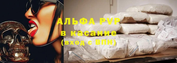 PSILOCYBIN Беломорск