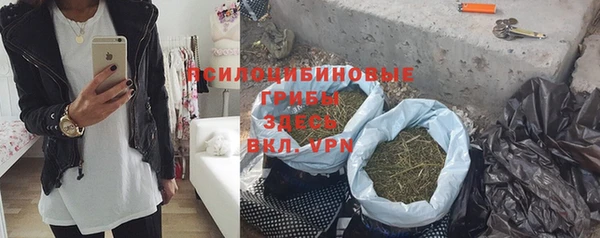 PSILOCYBIN Беломорск