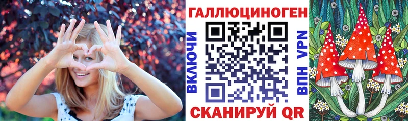 Галлюциногенные грибы Psilocybine cubensis  Козельск 