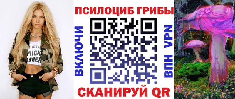 Галлюциногенные грибы Psilocybe Козельск
